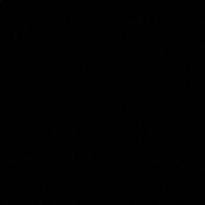 Meet your Posher, Katlyn